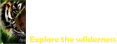 Online Corbett Resorts